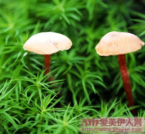 人生的价值