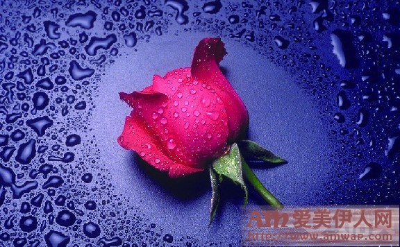 情人节送老公什么礼物