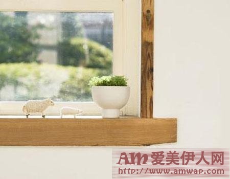 开桃花运方法1——一盆水种的植物或是四季小盆栽