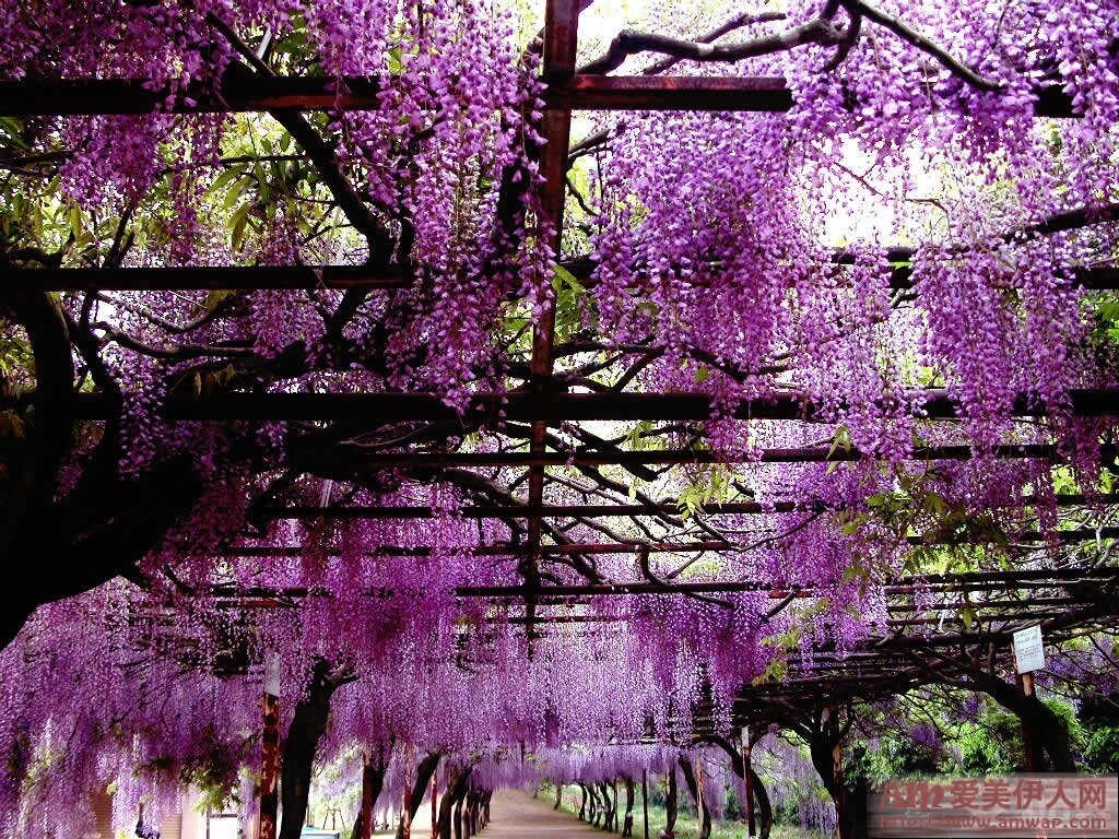 浪漫幸福的妇女节礼品