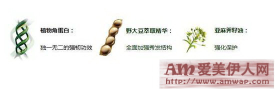 冬季秀发养护惊喜礼遇 修护三部曲重焕秀发原生之美