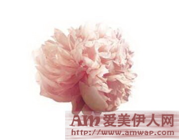 定格活力元气肌 轻松拥有紧致小V脸