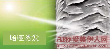 润泽养护 光彩闪耀 法国Klorane康如 玉兰·亮泽水润系列全新上市