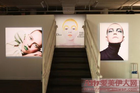 携手Dior迪奥彩妆创意与形象总监Peter Philips，探索《Dior迪奥的色彩艺术》