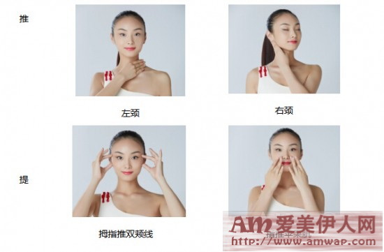 凝天地精华 塑中式颈颜 羽西全新虫草焕颜弹丝面颈系列上市