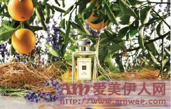 摩登典雅 奇幻氛呈 “王菲幻乐一场2016”世纪唱演 祖·玛珑倾情打造芬芳献礼