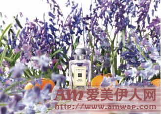 摩登典雅 奇幻氛呈 “王菲幻乐一场2016”世纪唱演 祖·玛珑倾情打造芬芳献礼