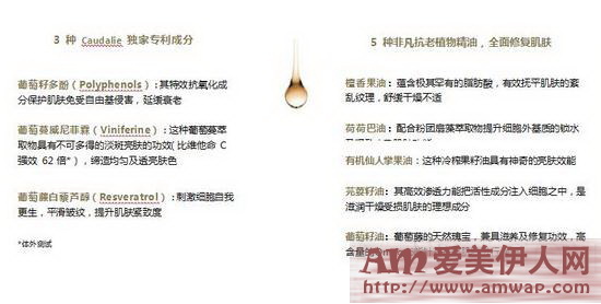 欧缇丽2017年1月上市新品--欧缇丽青春再现臻萃精华油