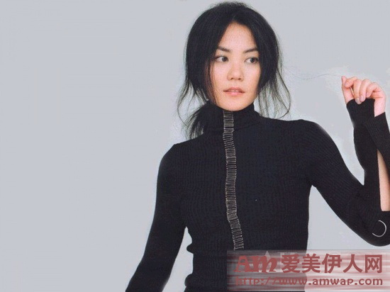 王菲:有段时间我很穷,只买得起MAX MARA