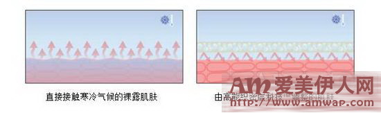 Dior迪奥花蜜活颜丝悦系列-Dior迪奥花蜜活颜丝悦盈润乳霜