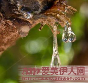 追寻时光臻源之谜 激活润泽弹簧肌 苏秘37°(SU:M37°)臻源之谜系列1月倾情上市